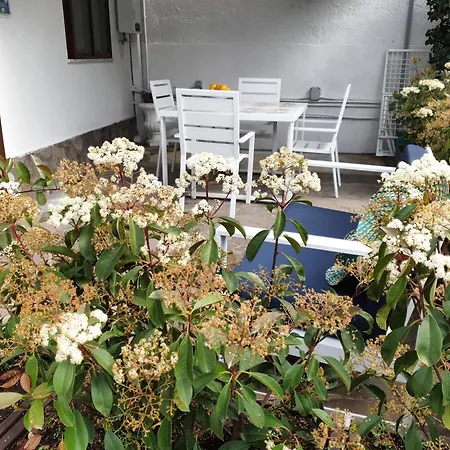Ferienhaus Dafne *