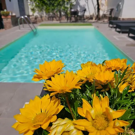Ferienhaus Dafne *